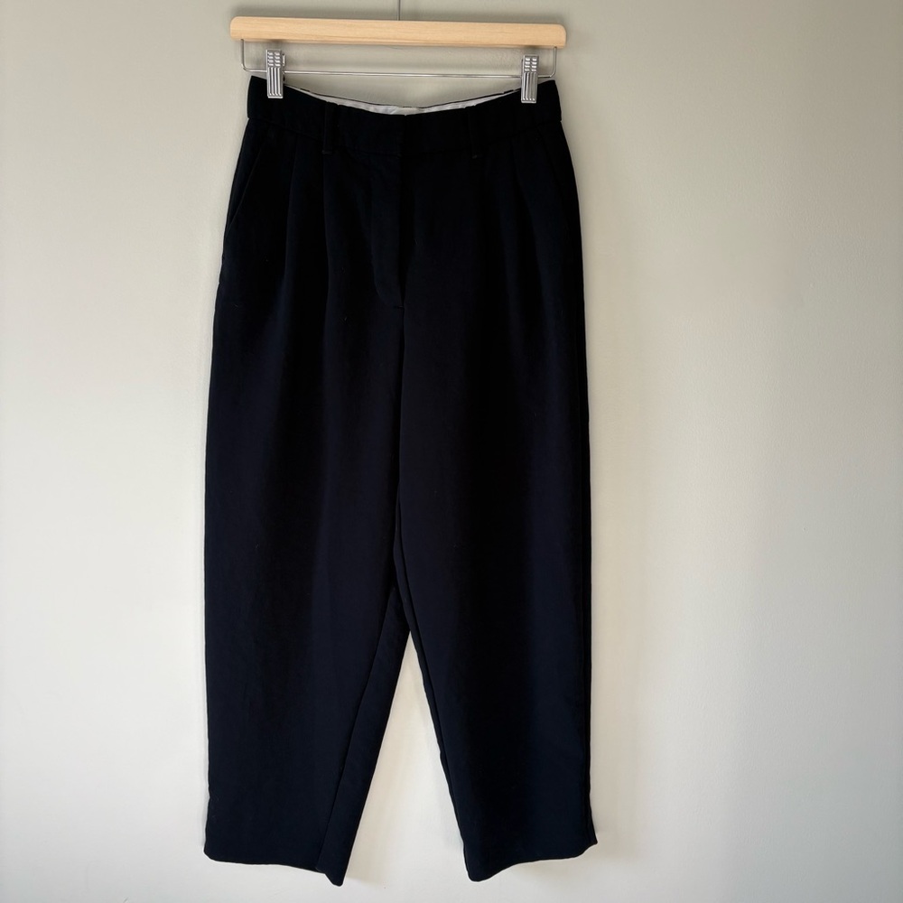 Aritzia Trousers with Pleats